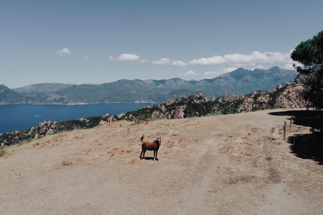 Résidence de la Tour Piana  Exterior foto